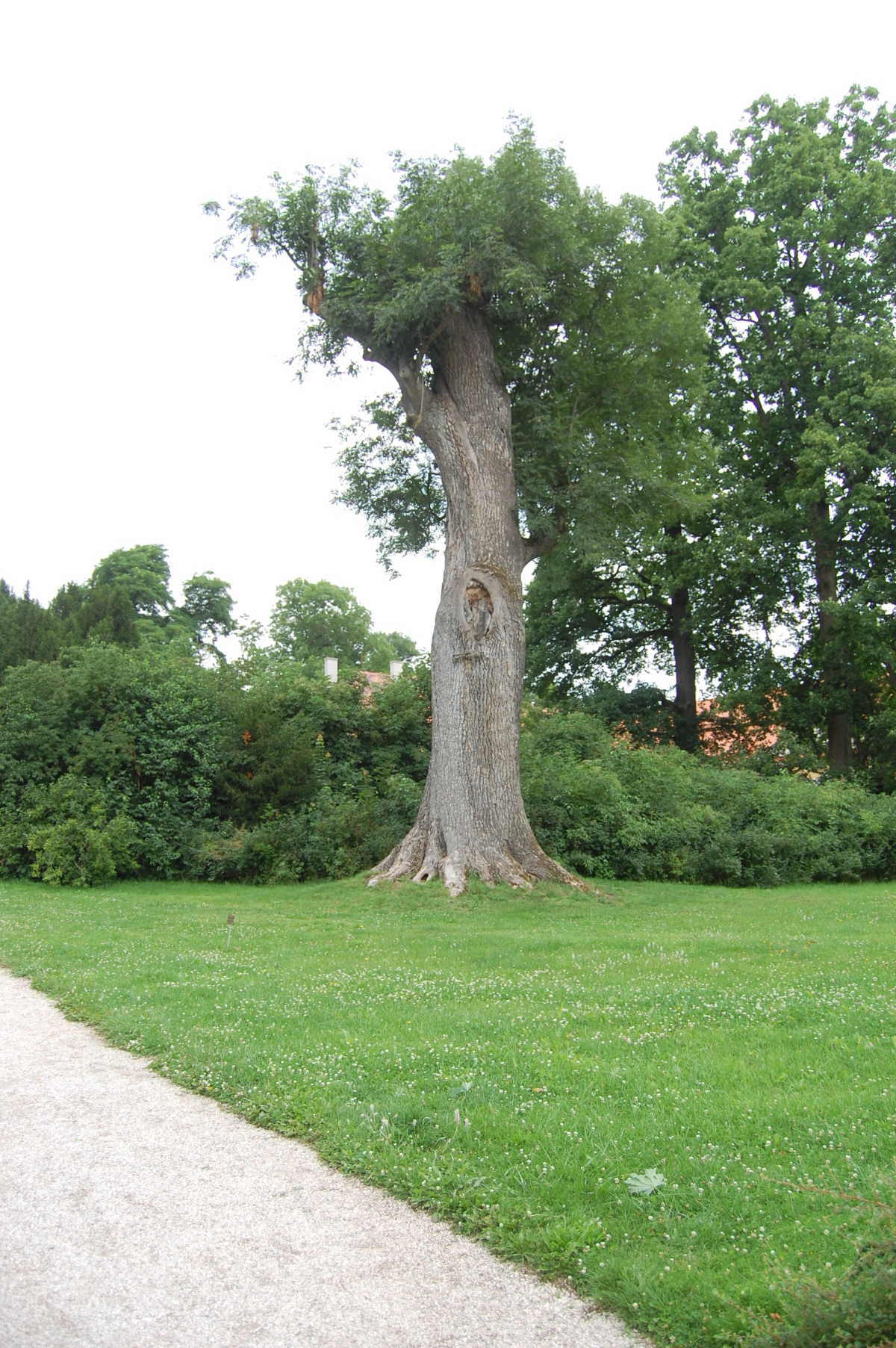 img00134.jpg