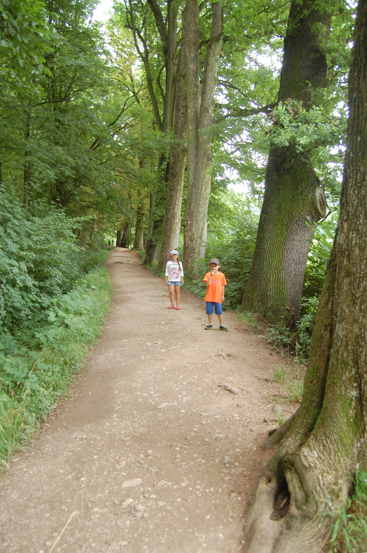 img00137.jpg