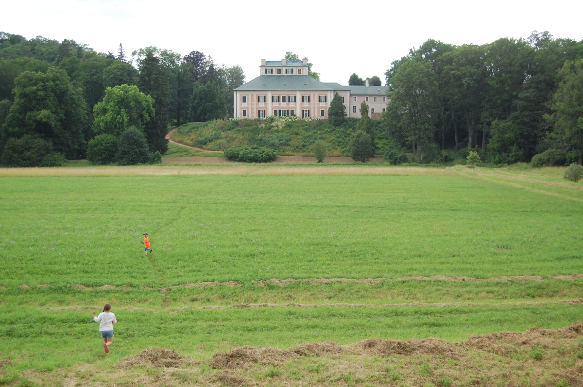 img00142.jpg