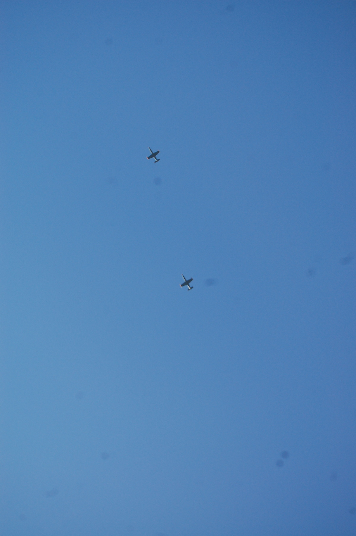 img00172.jpg