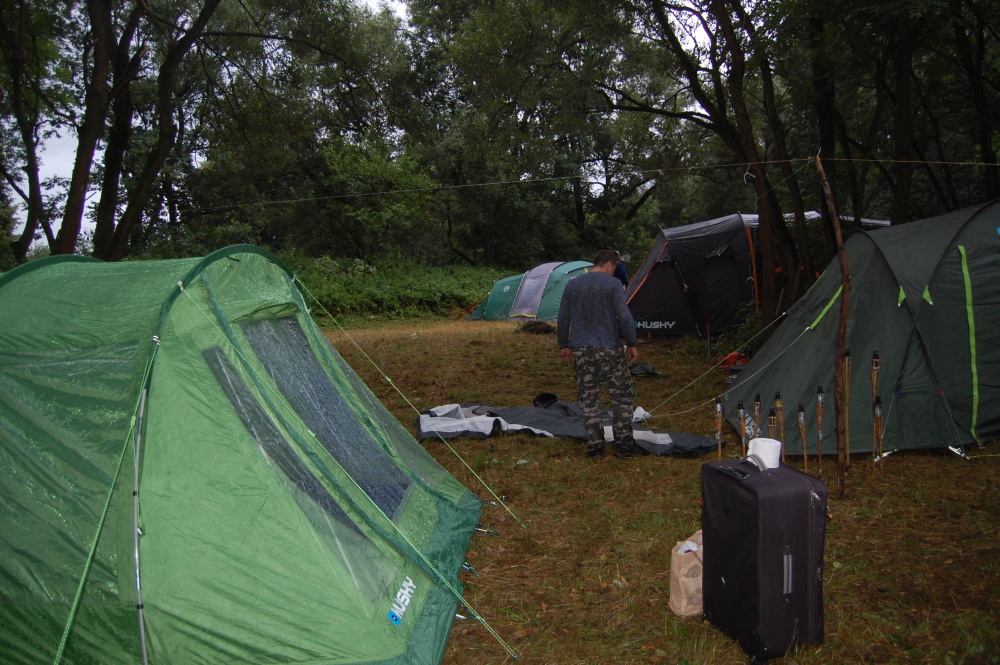 img00003.jpg