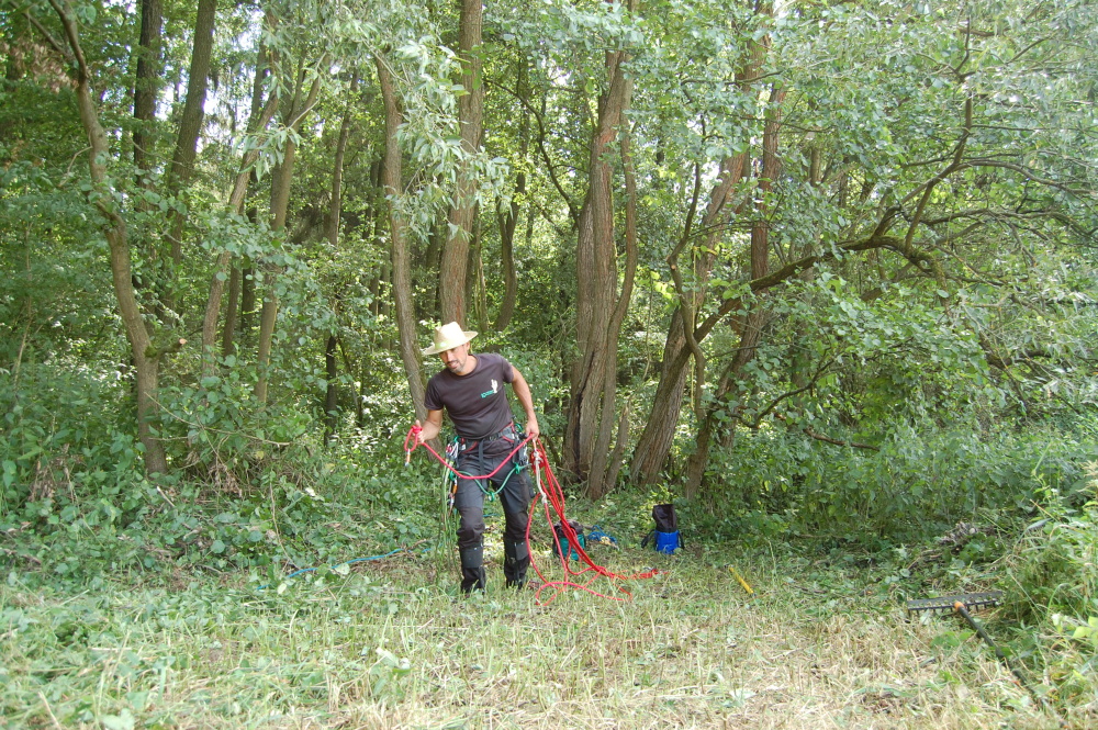 img00013.jpg