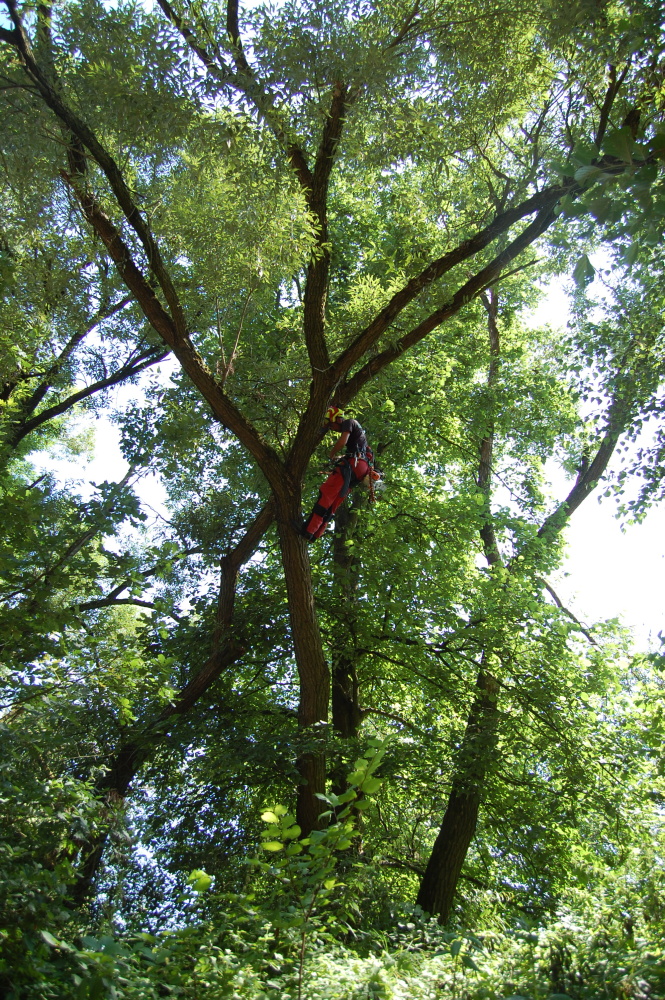 img00082.jpg