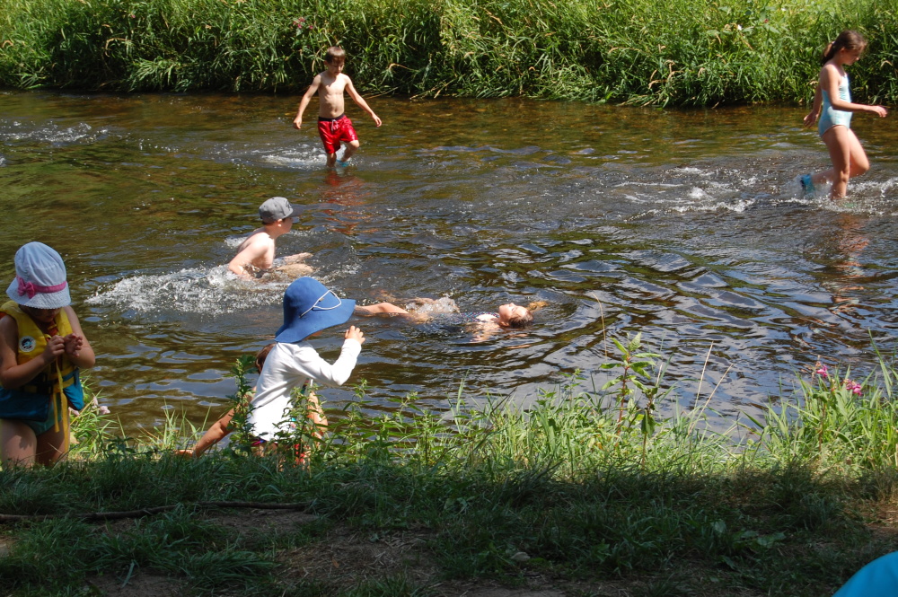 img00141.jpg