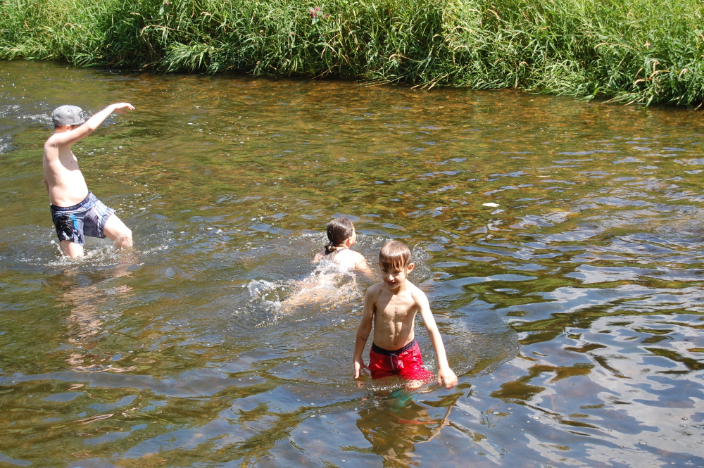 img00143.jpg