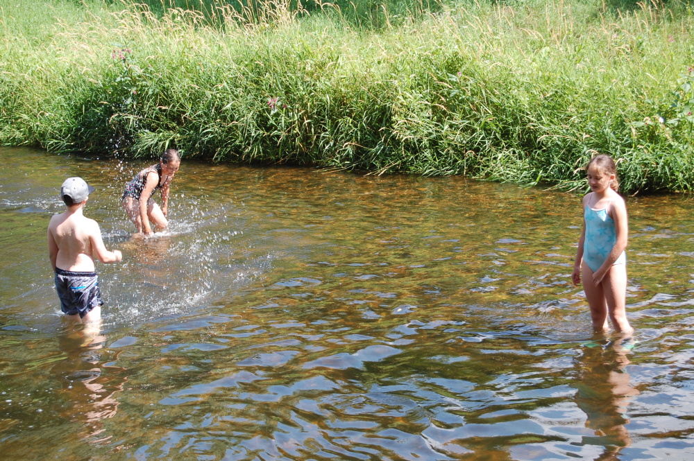 img00145.jpg