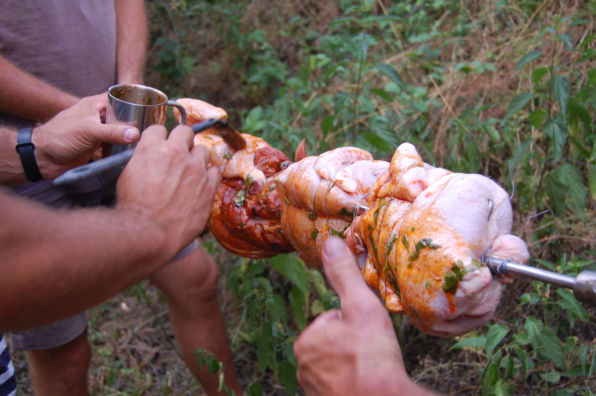 img00179.jpg