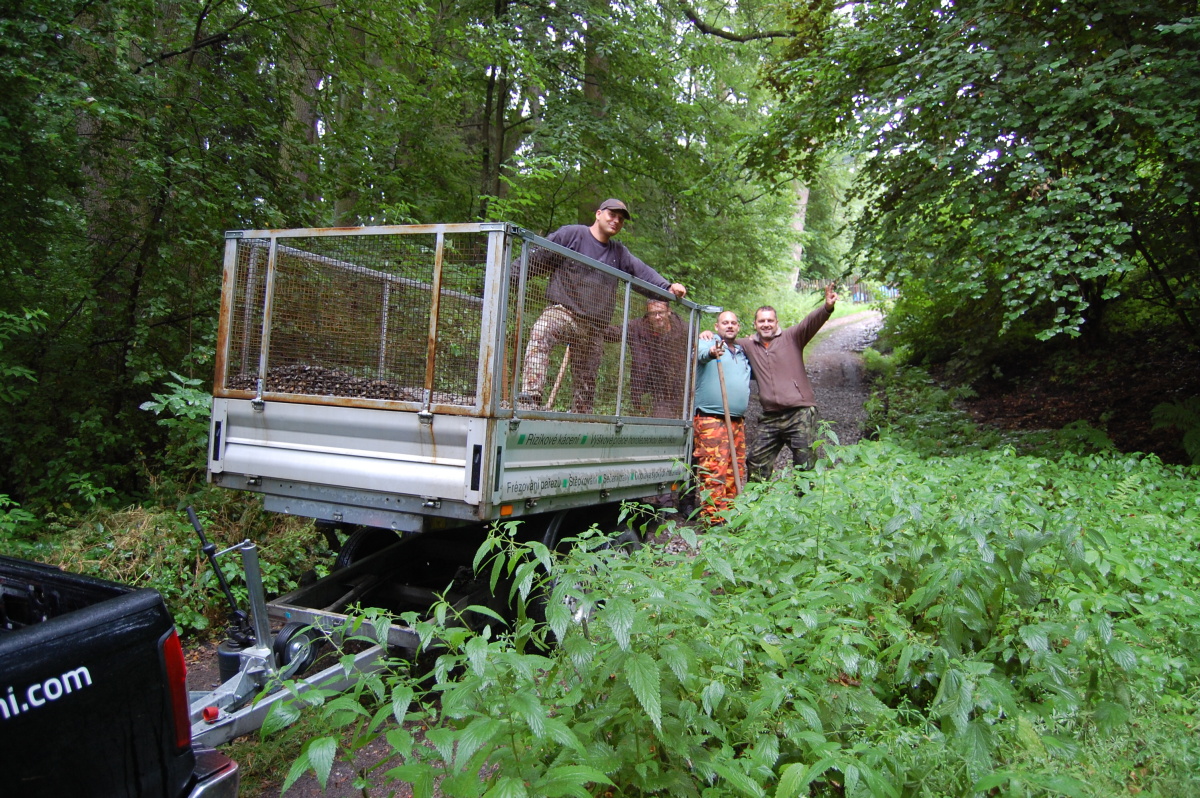 img00188.jpg