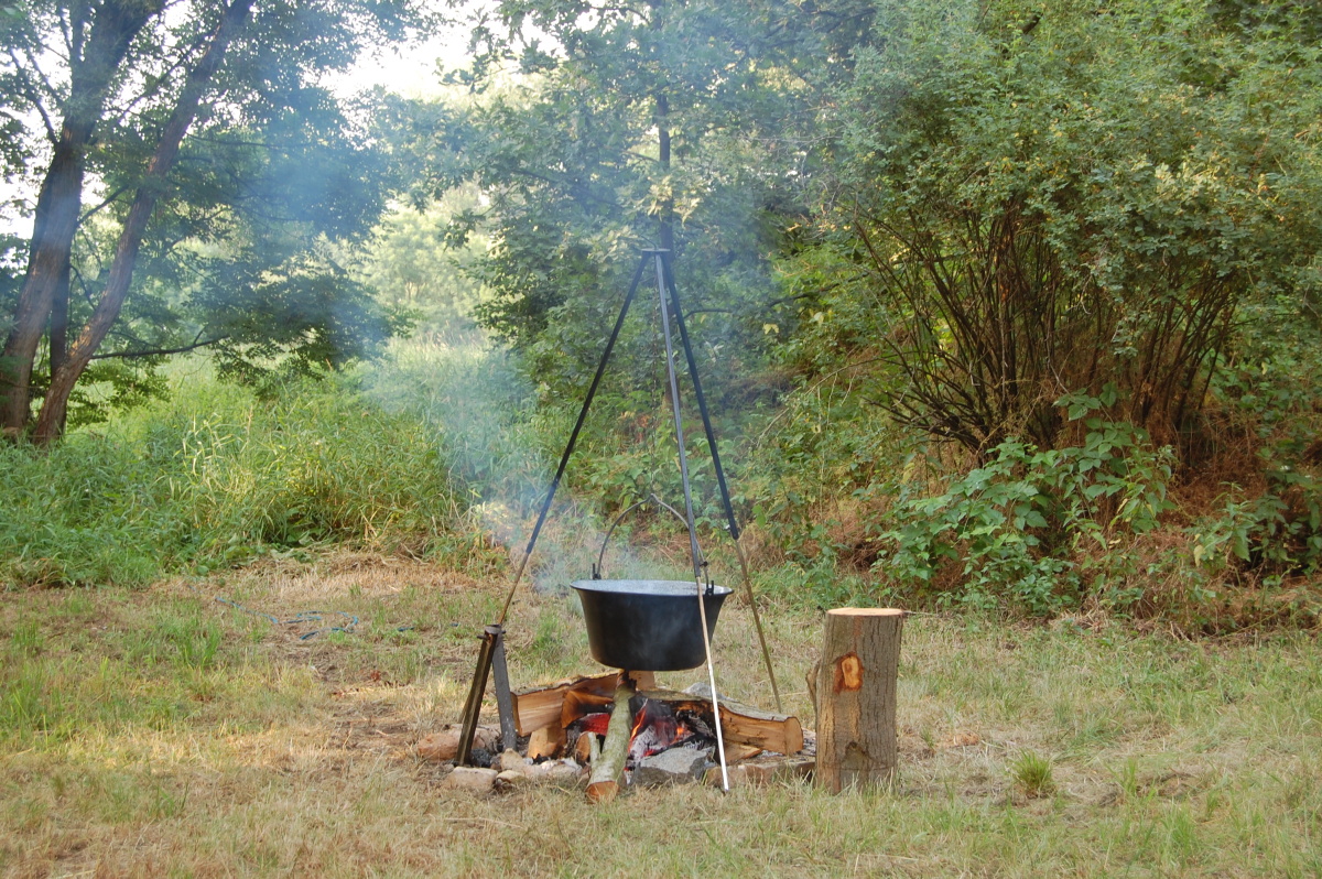 img00192.jpg