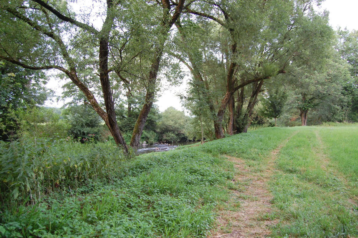 img00197.jpg