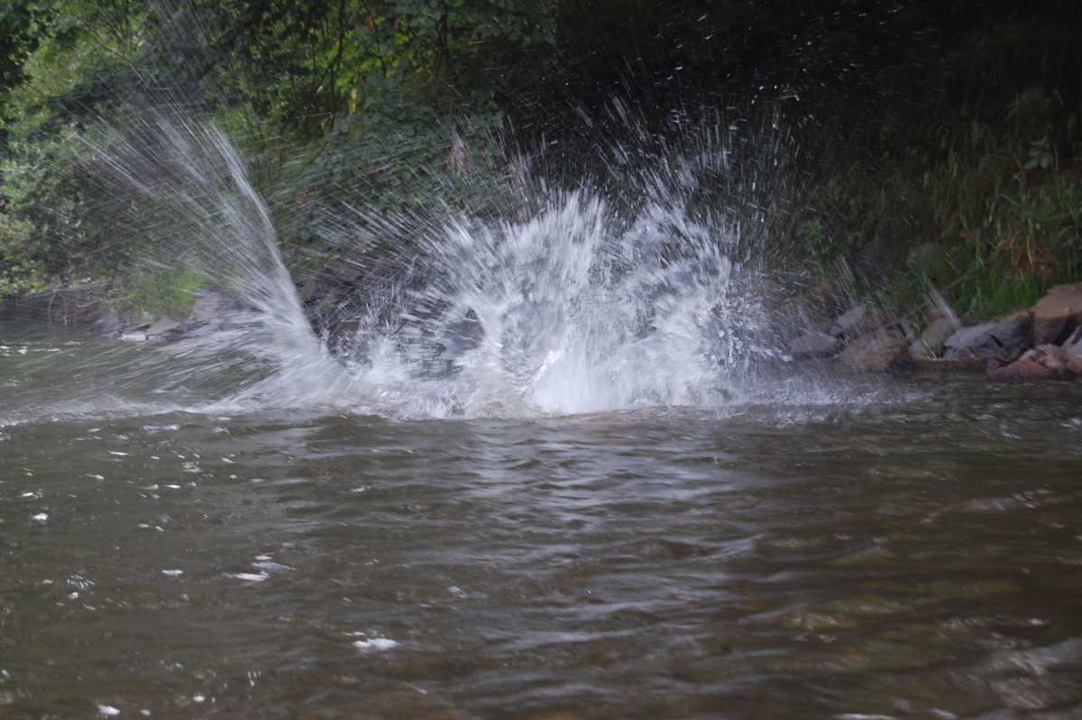 img00199.jpg