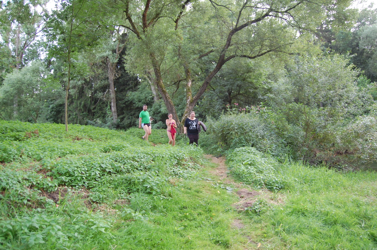 img00201.jpg
