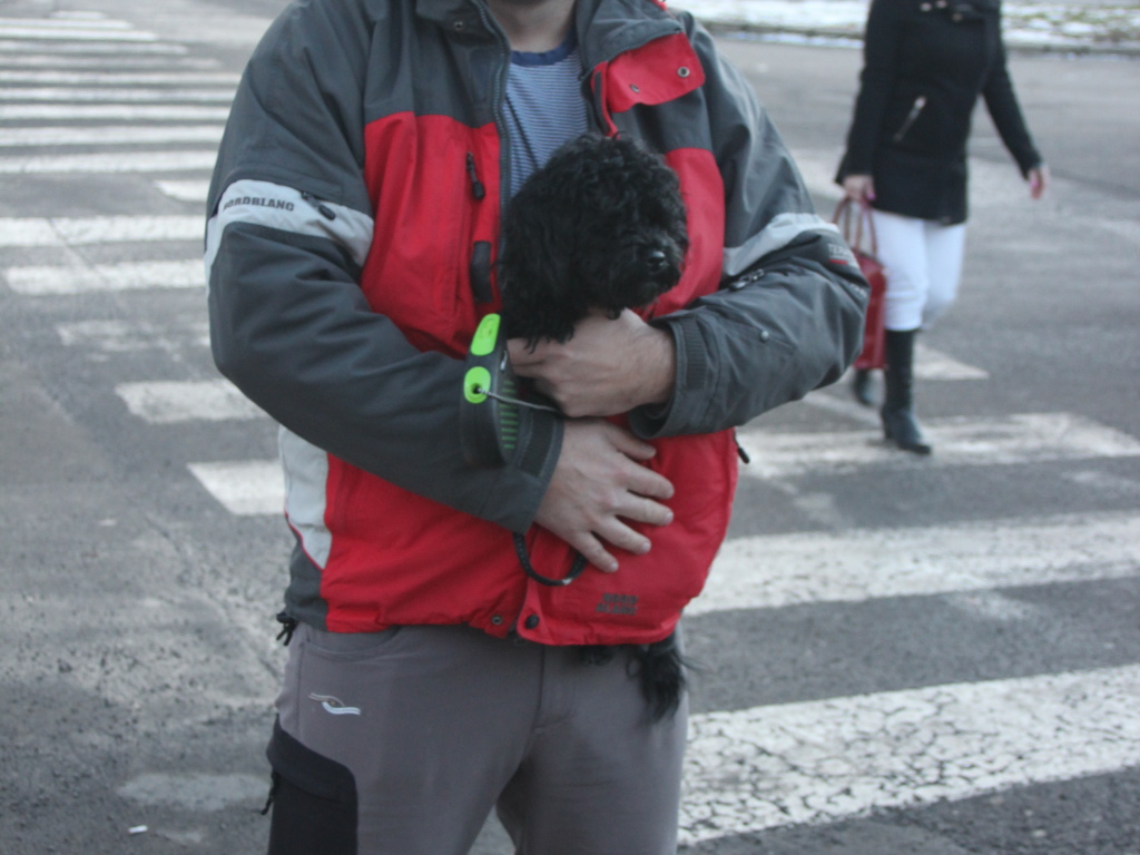 img00002.jpg
