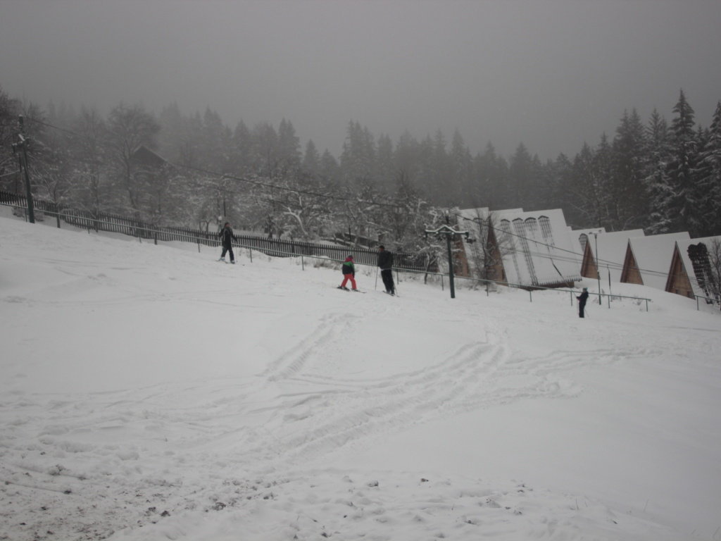 img00008.jpg