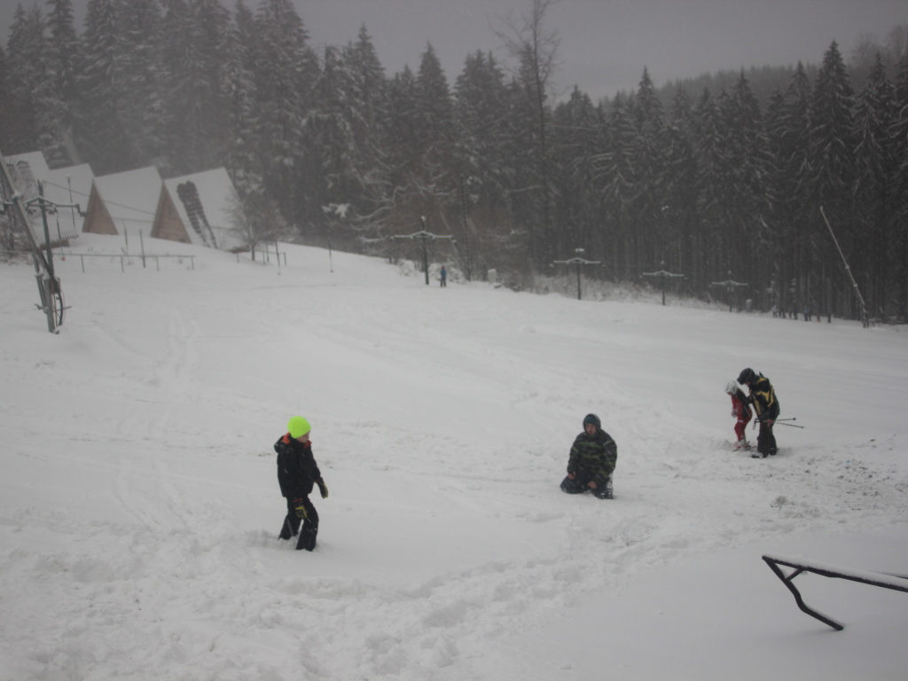 img00009.jpg
