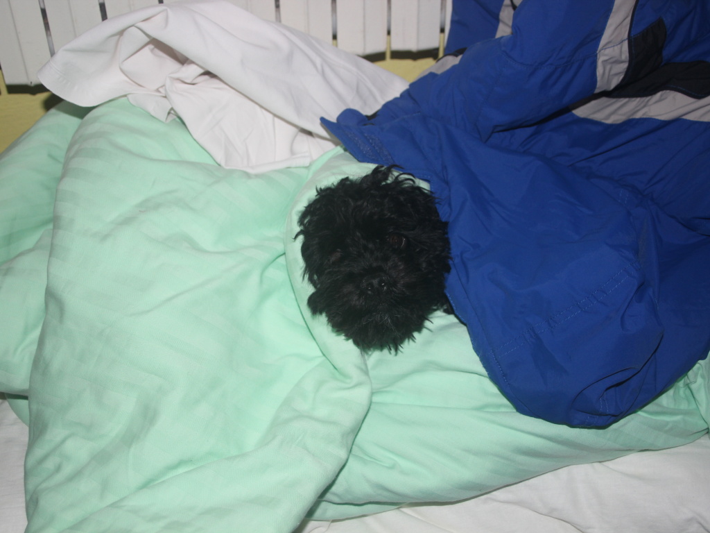 img00020.jpg