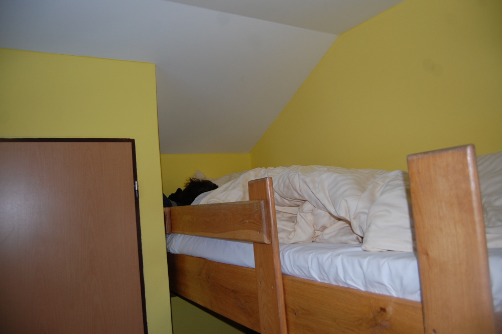 img00010.jpg