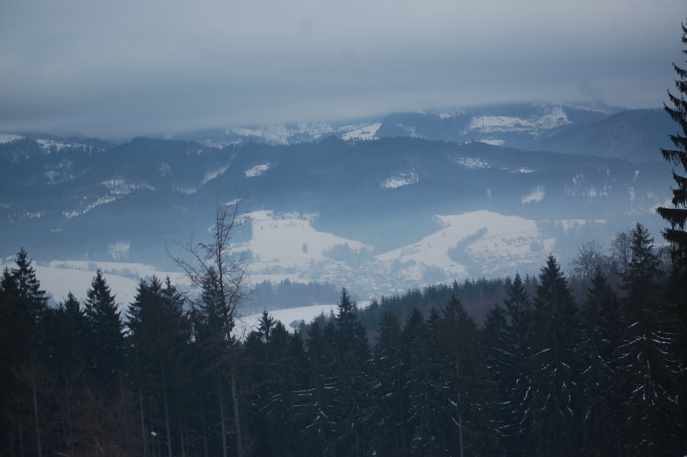 img00025.jpg