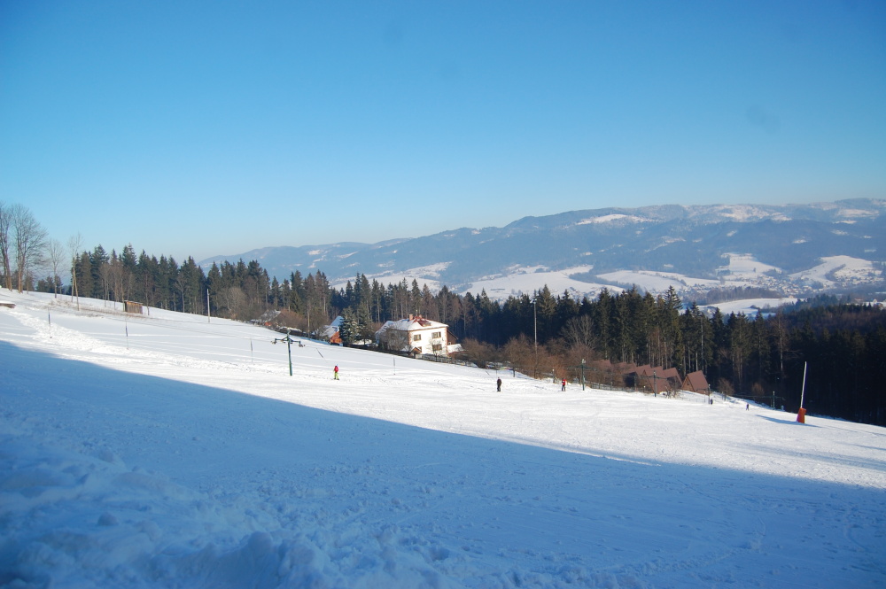 img00092.jpg