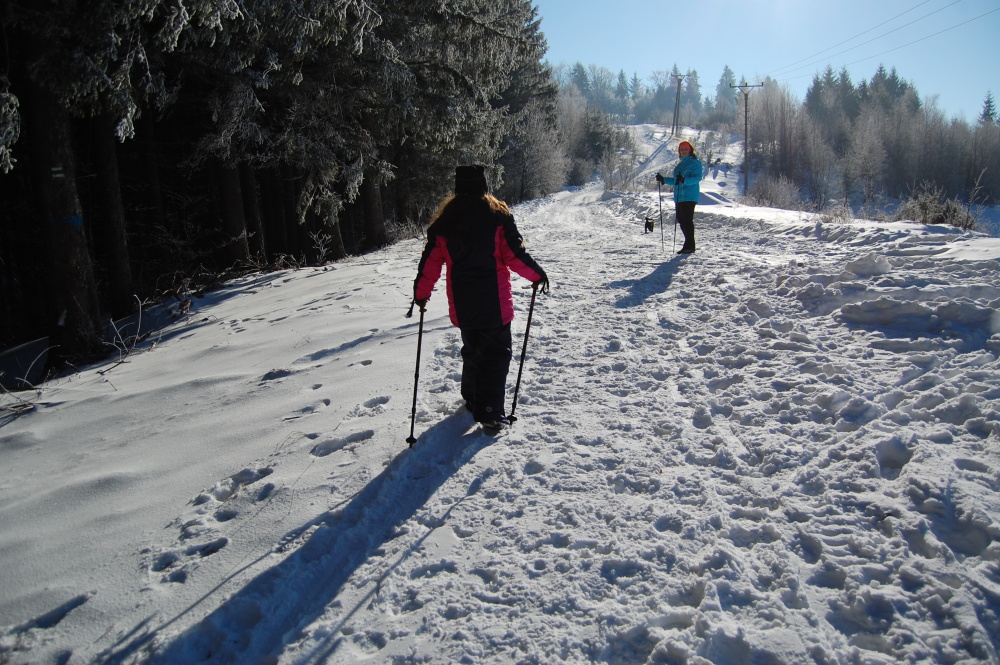 img00098.jpg