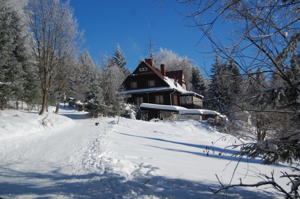 img00101.jpg