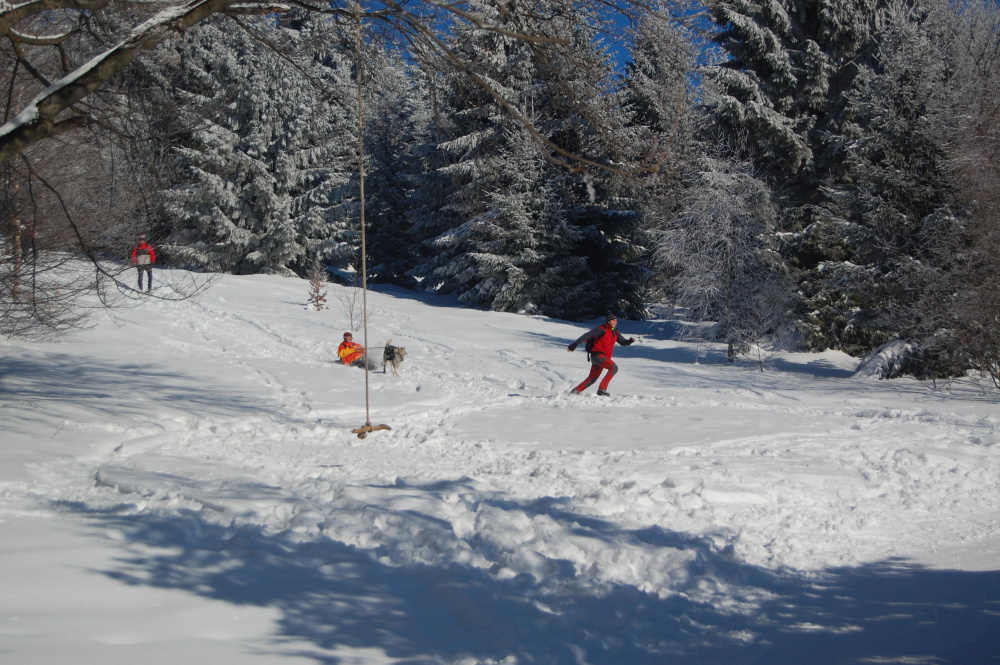 img00102.jpg