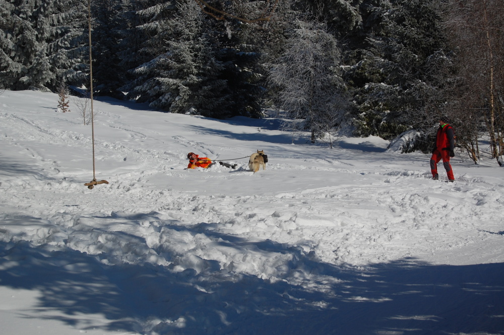img00103.jpg