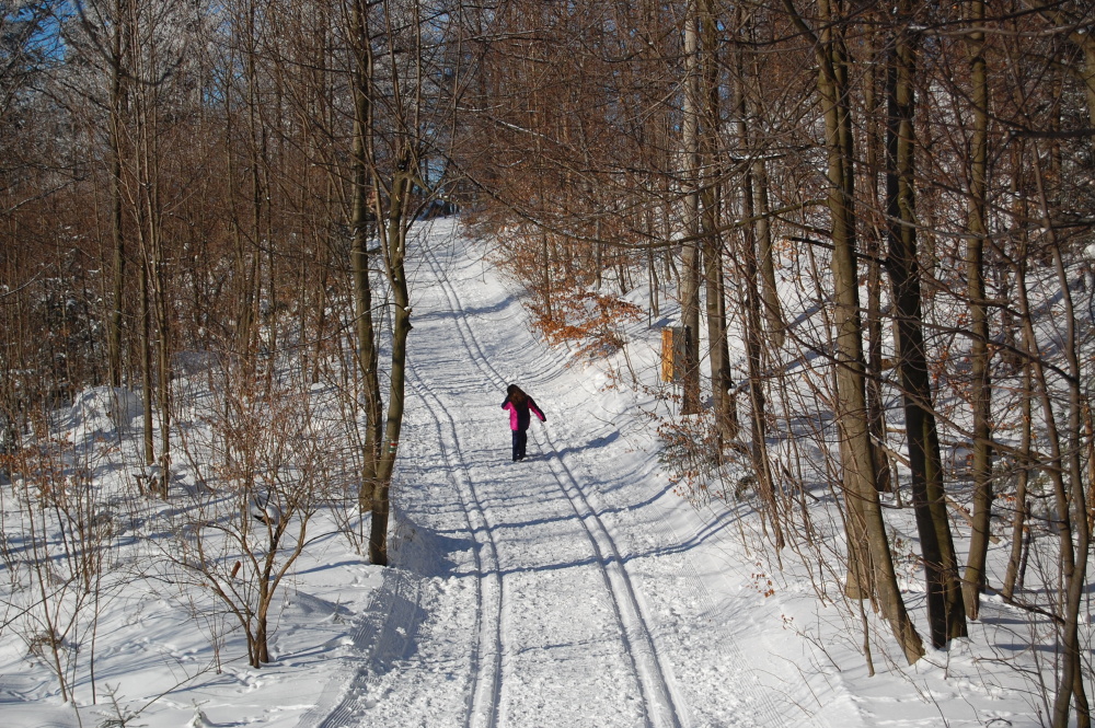 img00105.jpg