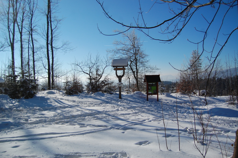 img00106.jpg