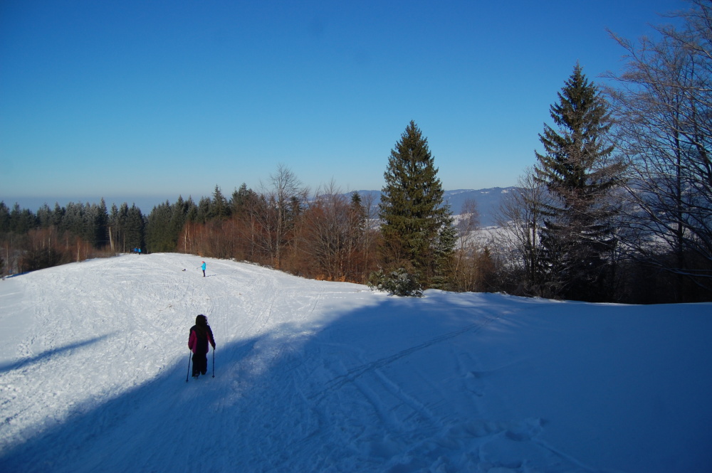 img00108.jpg