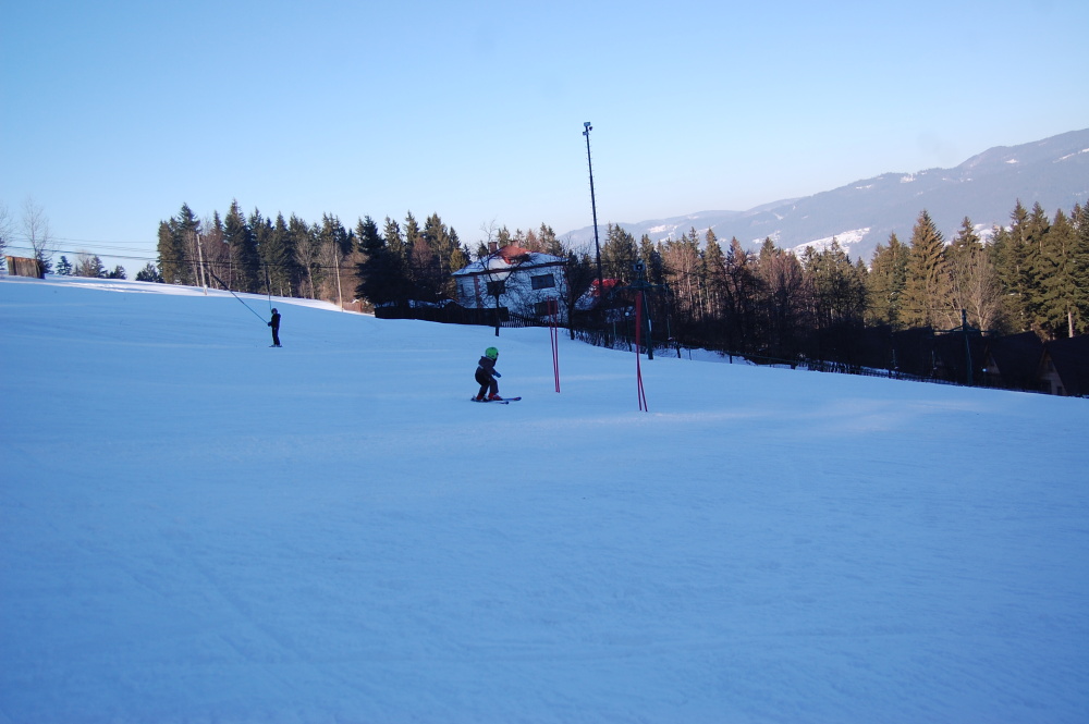 img00143.jpg
