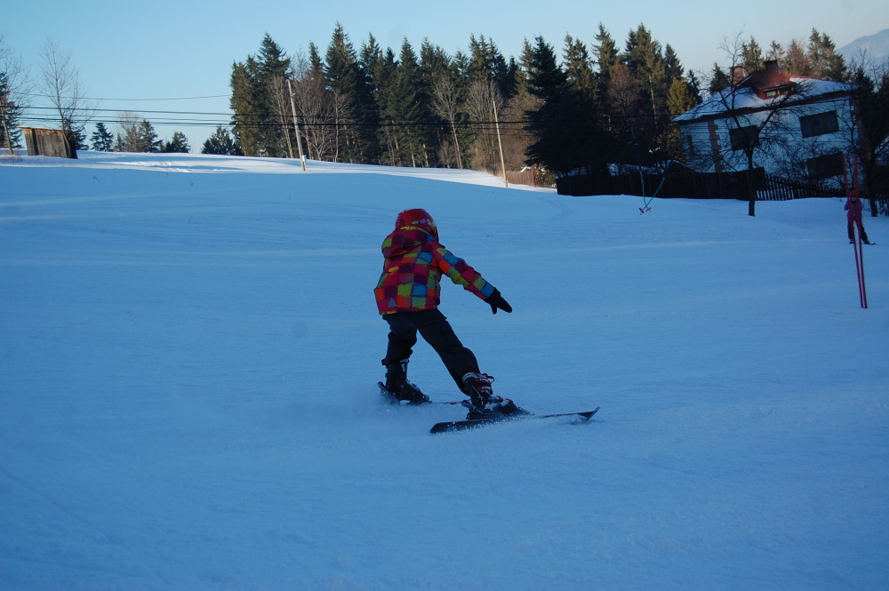 img00148.jpg