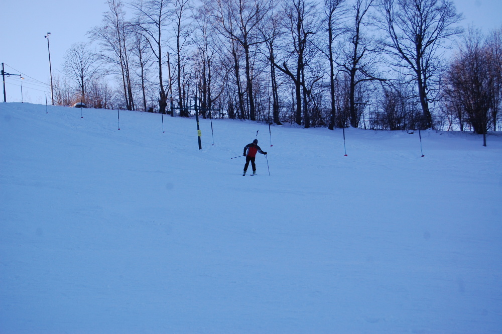 img00229.jpg