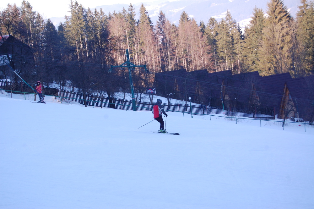 img00246.jpg