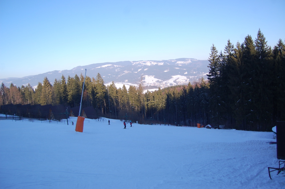 img00249.jpg