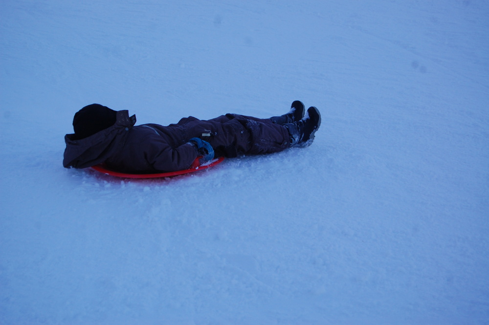 img00262.jpg