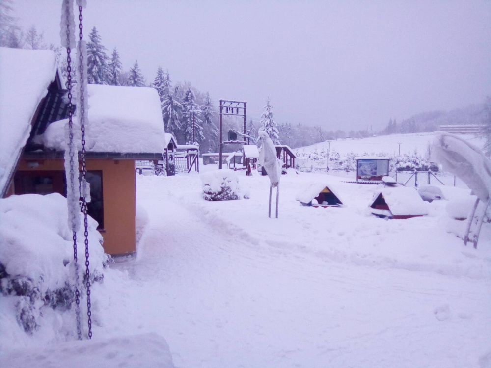 img00011.jpg