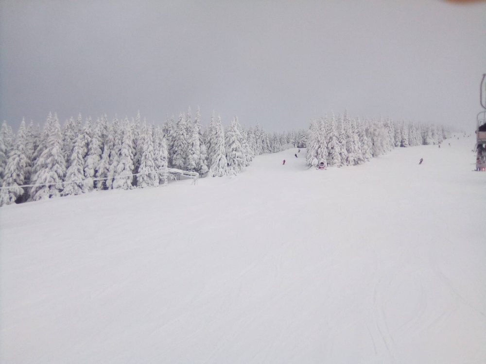 img00017.jpg