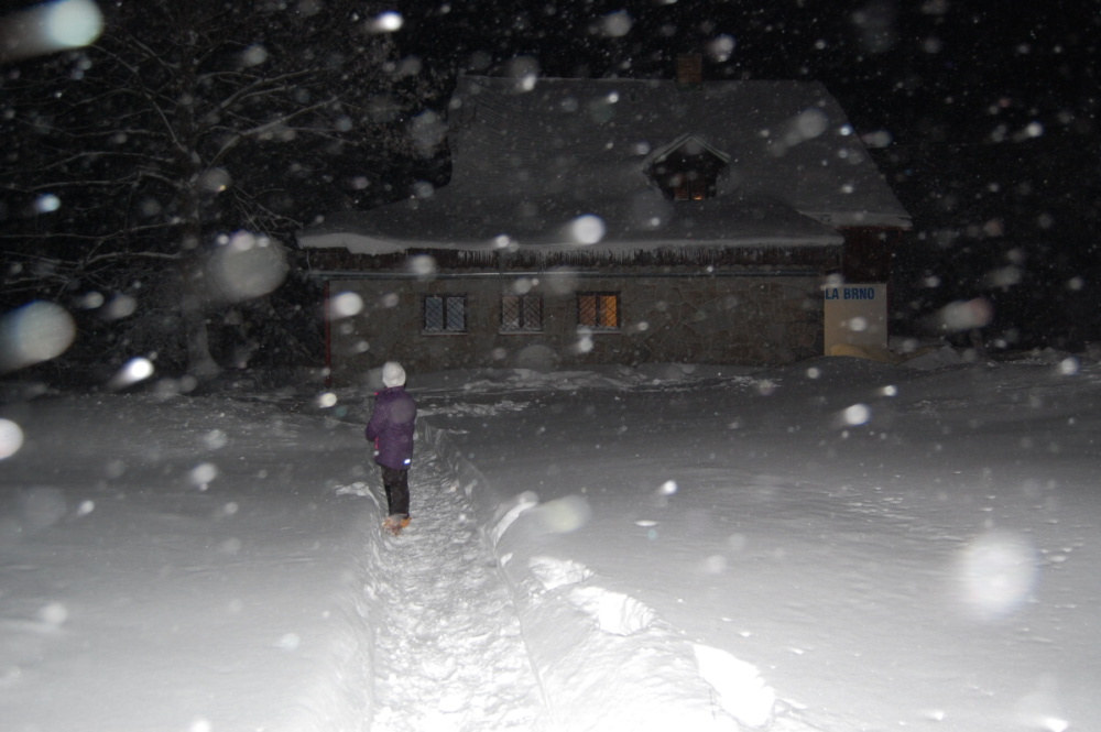 img00025.jpg