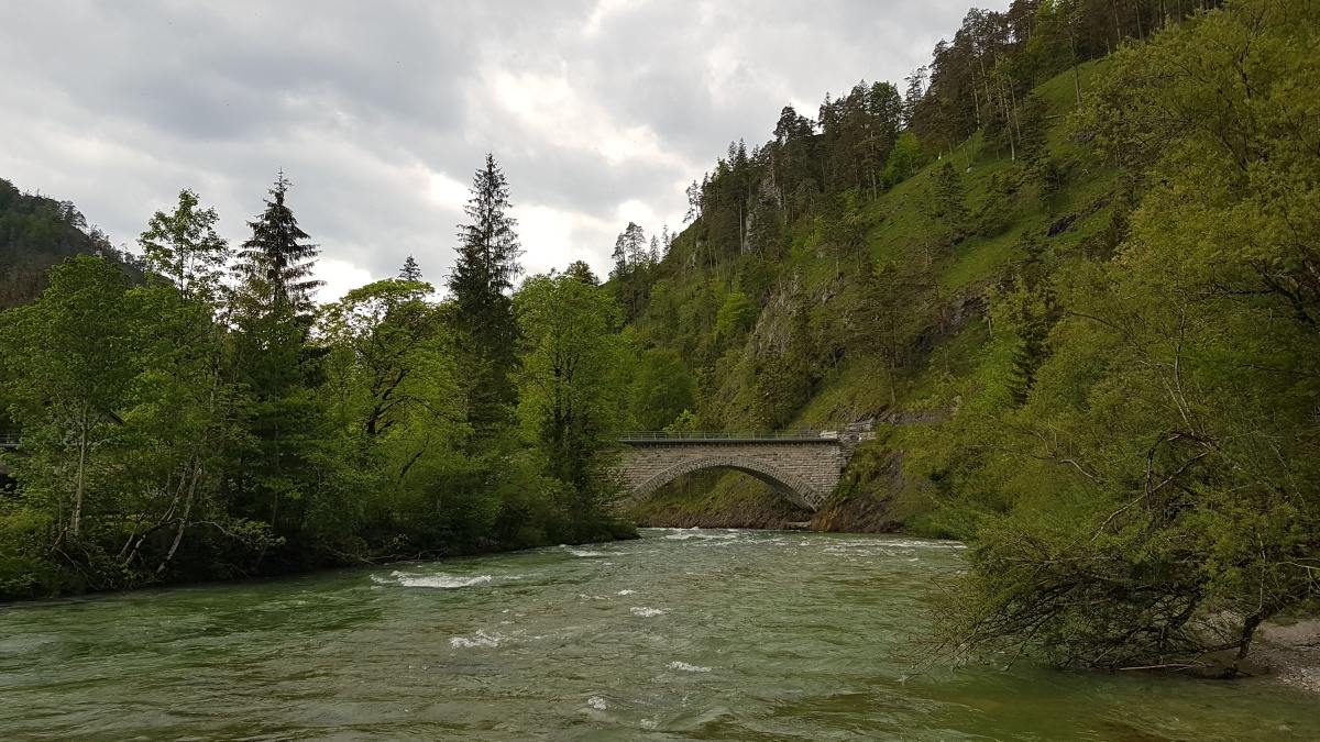 img00019.jpg