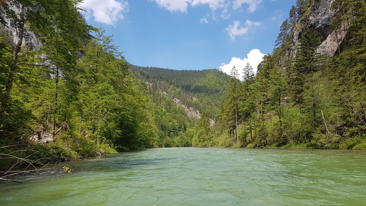 img00037.jpg