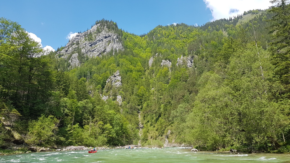 img00044.jpg