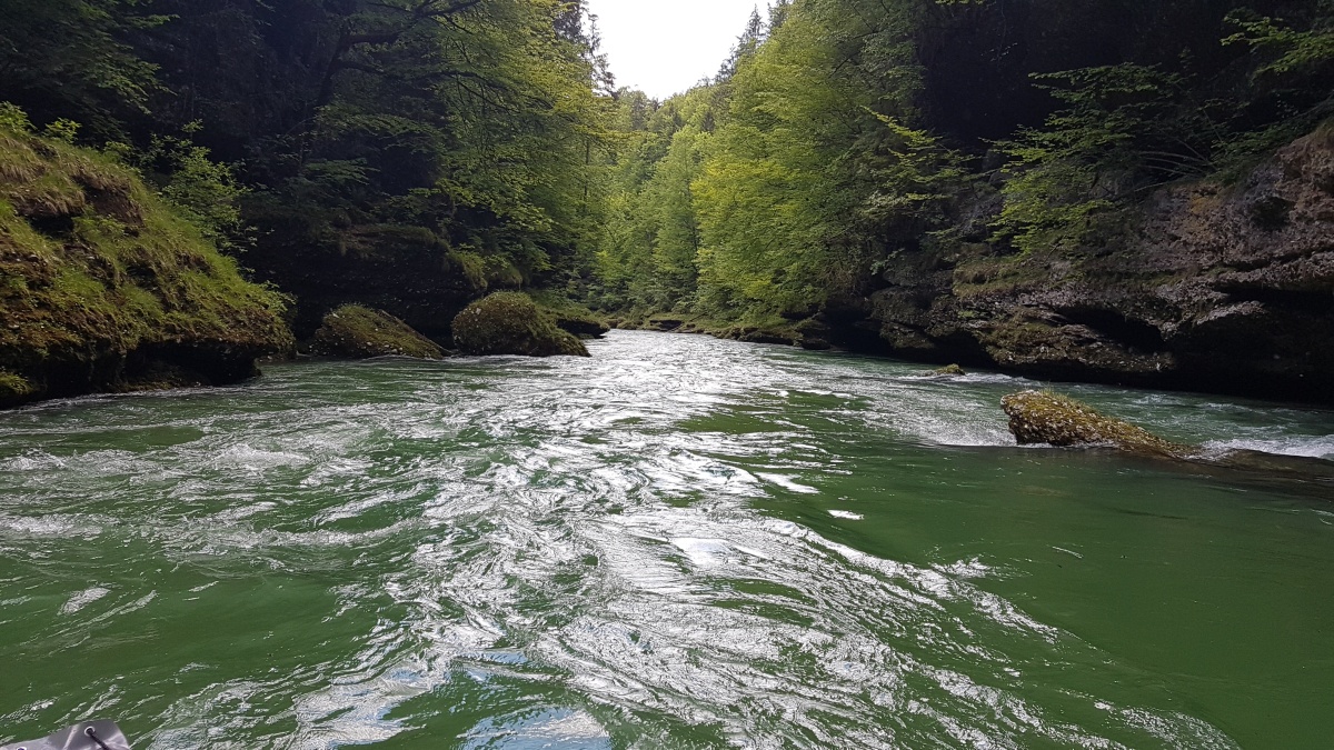 img00059.jpg