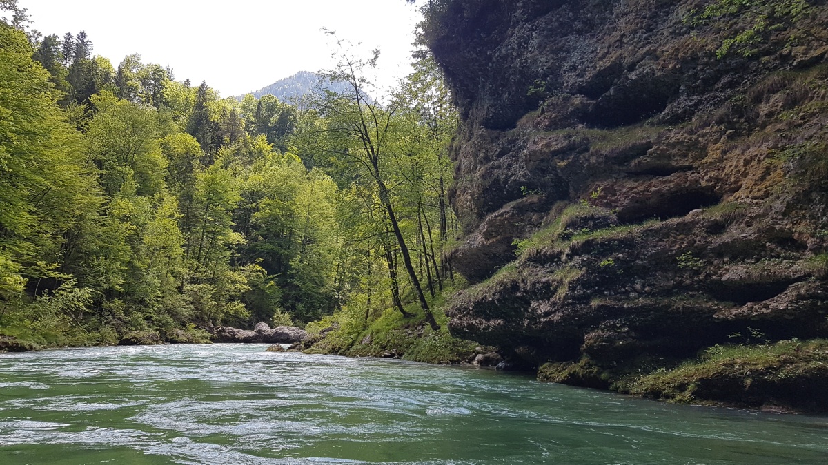 img00060.jpg