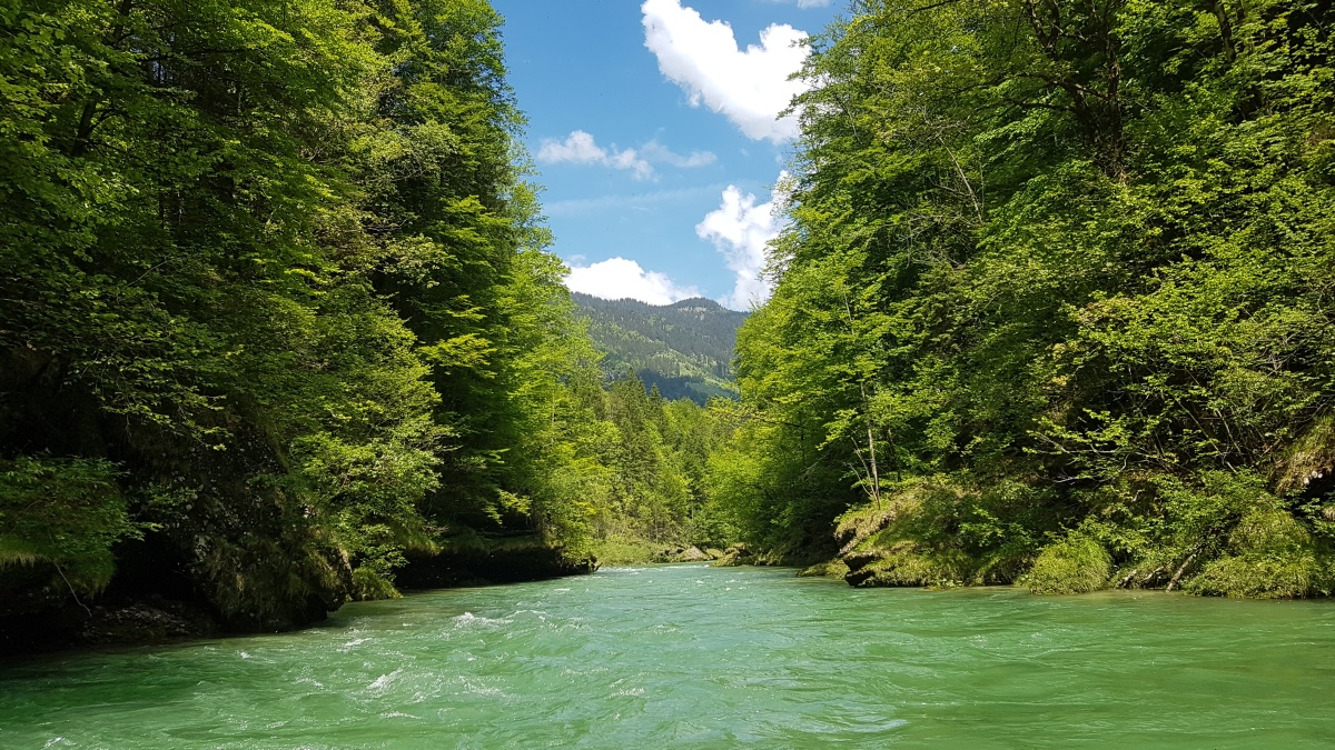 img00063.jpg