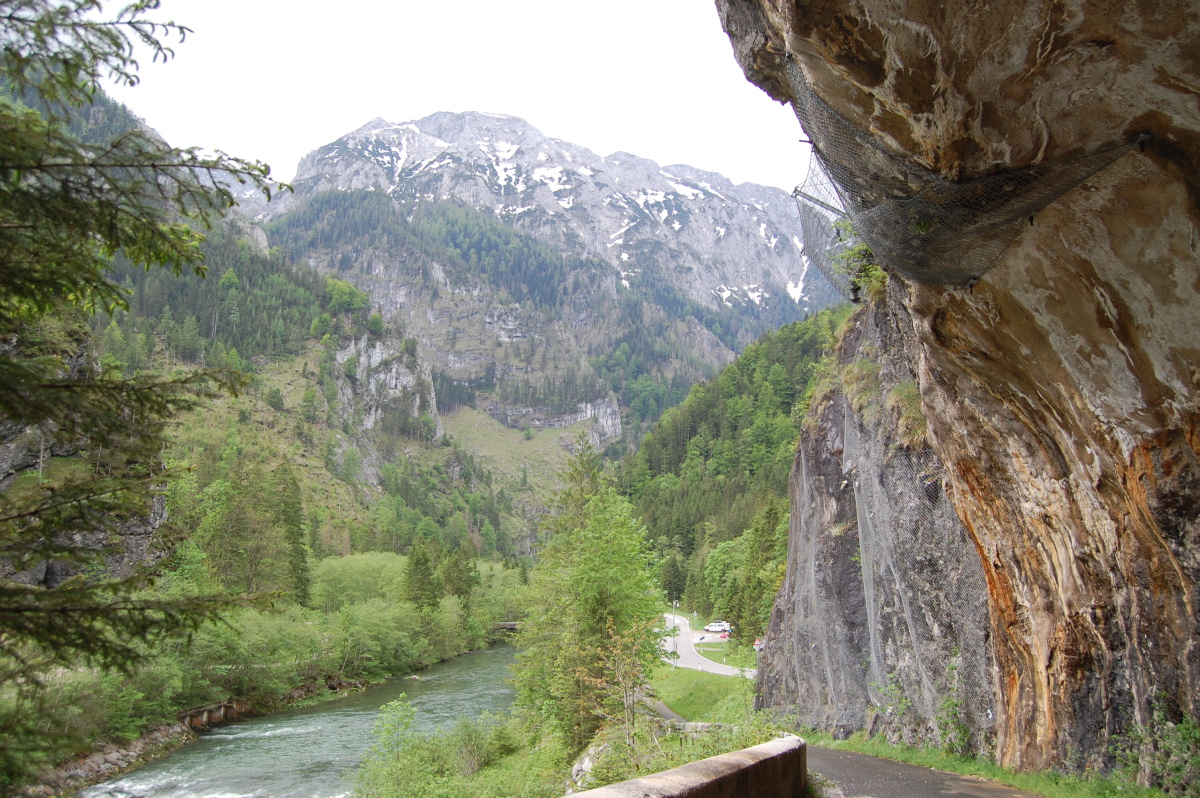 img00080.jpg