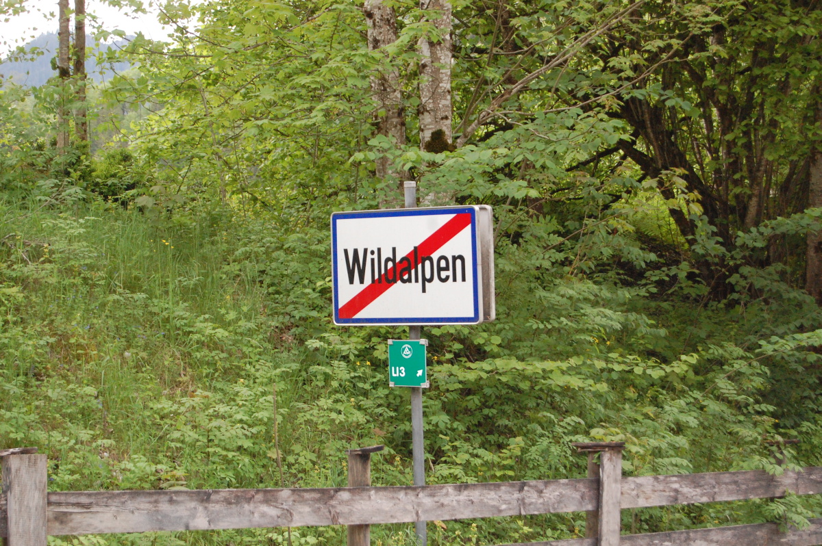 img00105.jpg