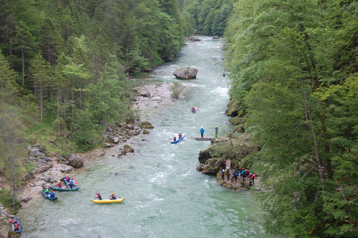 img00124.jpg
