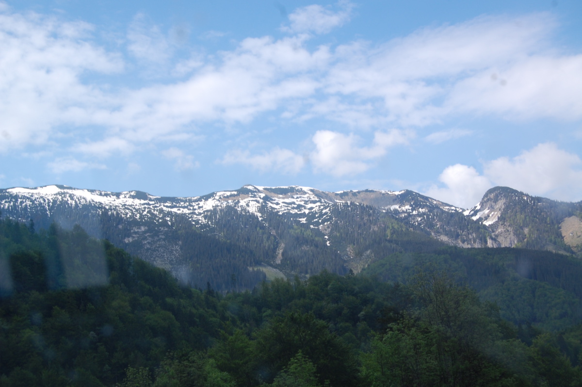 img00142.jpg
