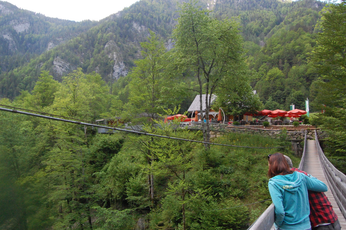 img00188.jpg